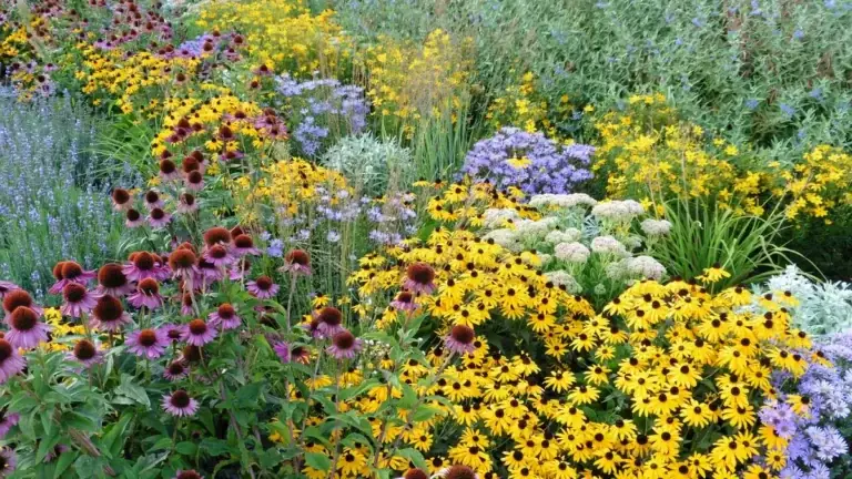 Best Perennial Garden Options: Master Horticultural Design Guide